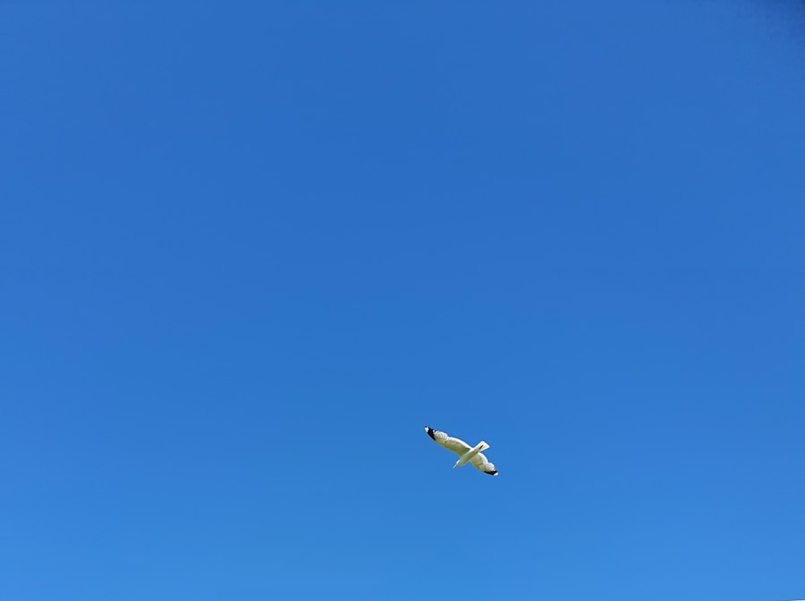 Photo airplane