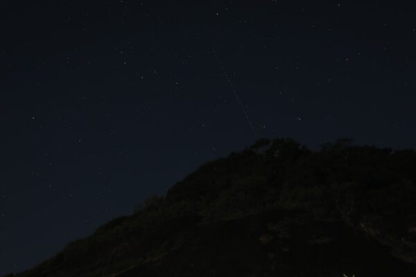 Photo little black dress