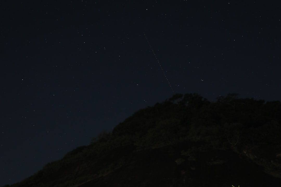 Photo little black dress