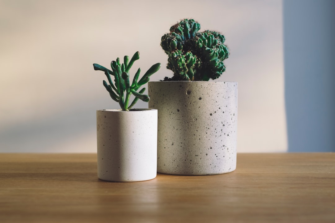 Photo concrete planters