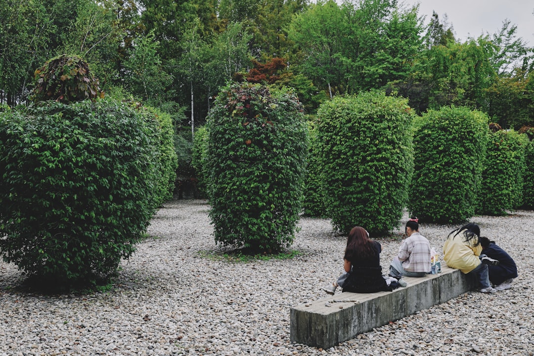 Photo gravel garden